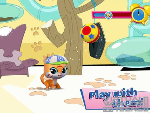 Littlest Pet Shop5