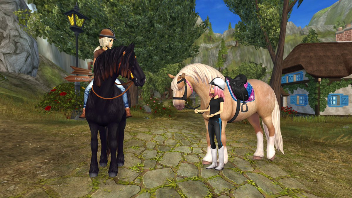Star stable steam фото 49